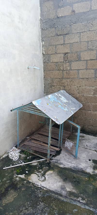 Cage For Hens and Pet