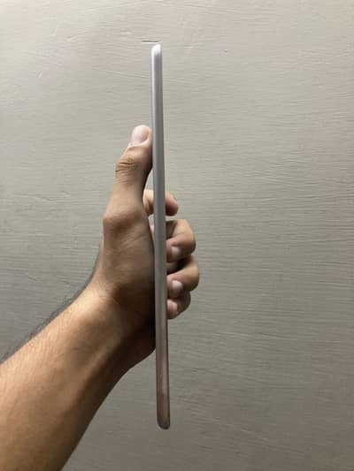 iPad mini 4