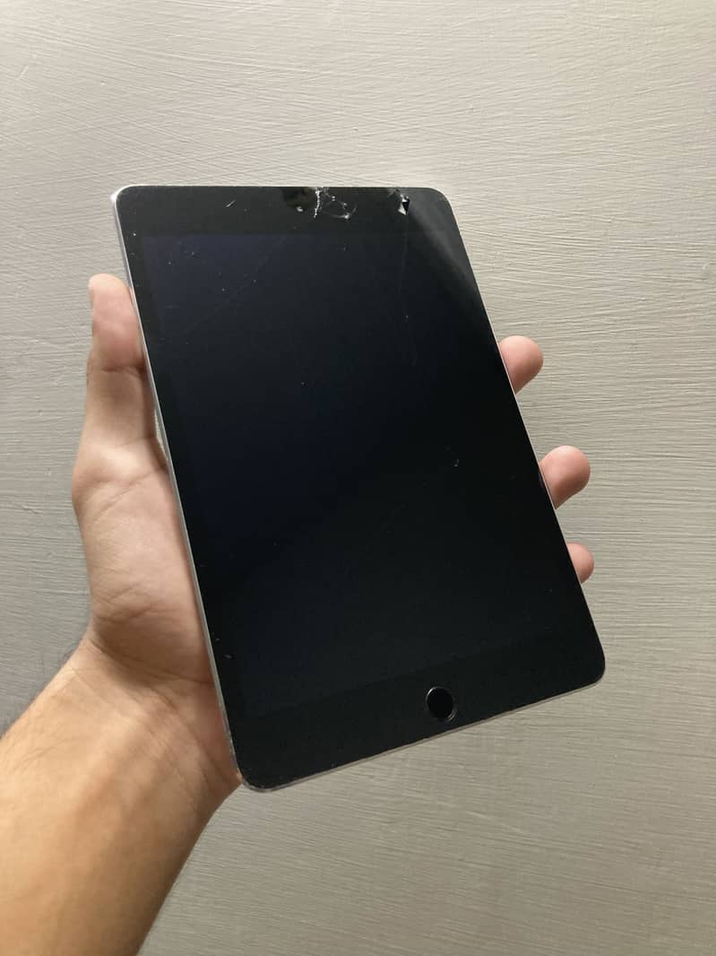 iPad mini 4 1