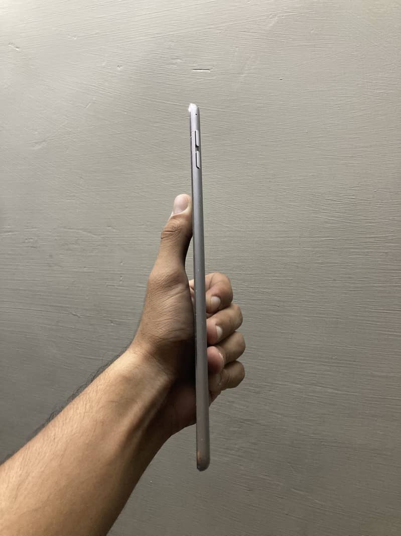 iPad mini 4 2