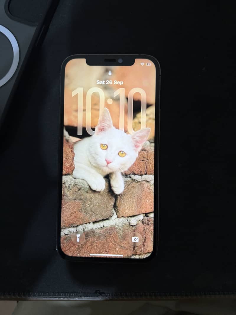 Apple iPhone 12 Pro 12