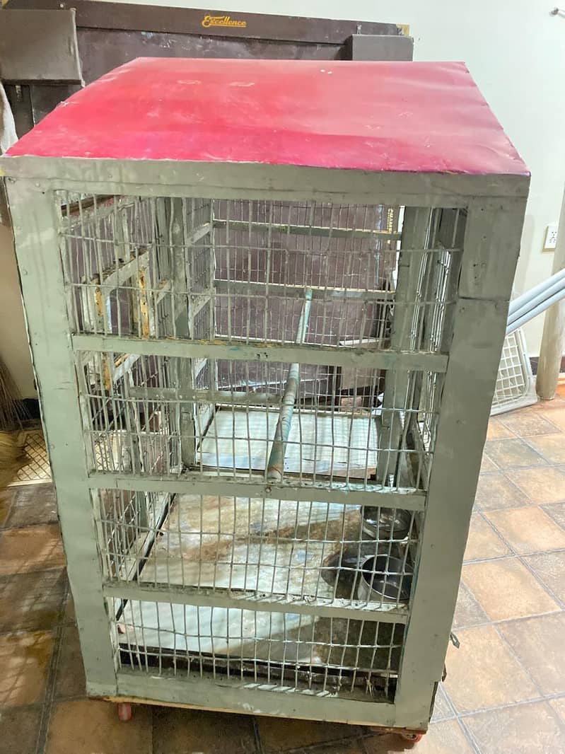 parrots cage 1