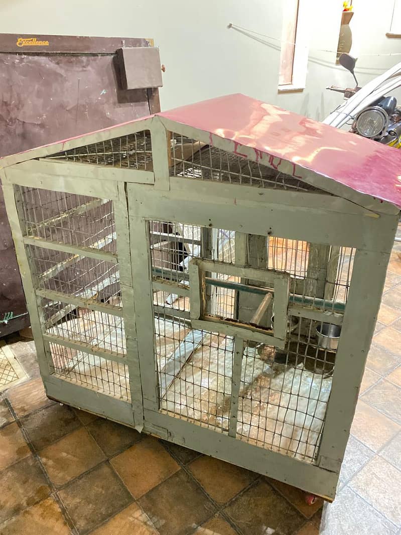 parrots cage 2