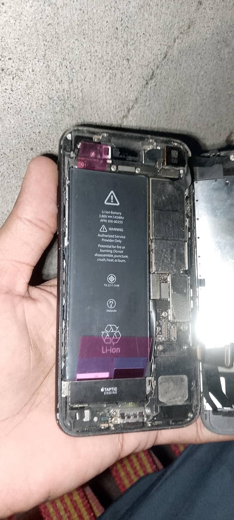 Apple iPhone 7 4