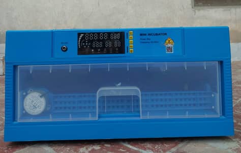 Chinese automatic hens chicks chuzo kaay liyyaay incubator for sale