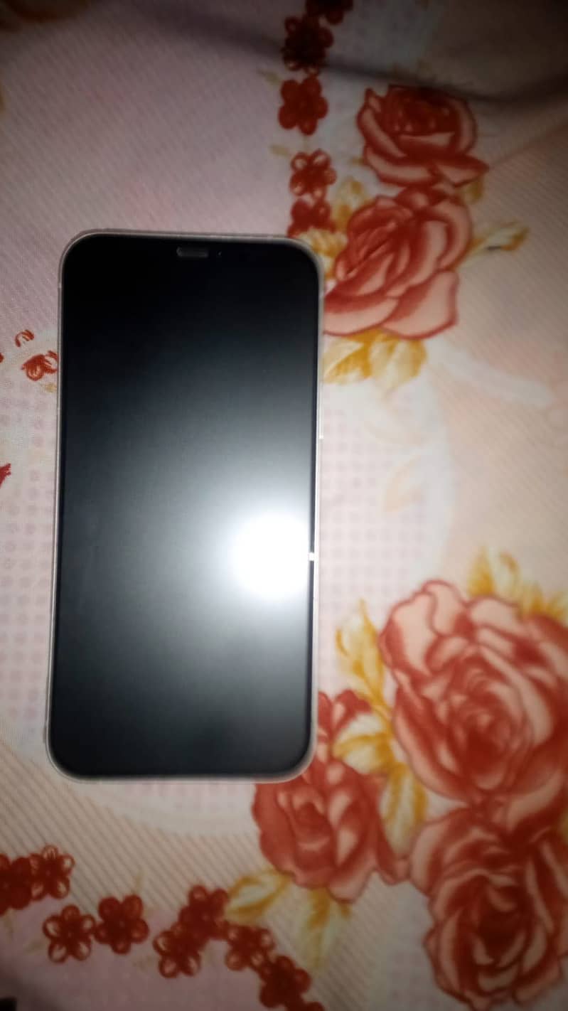 Apple iPhone 12 1