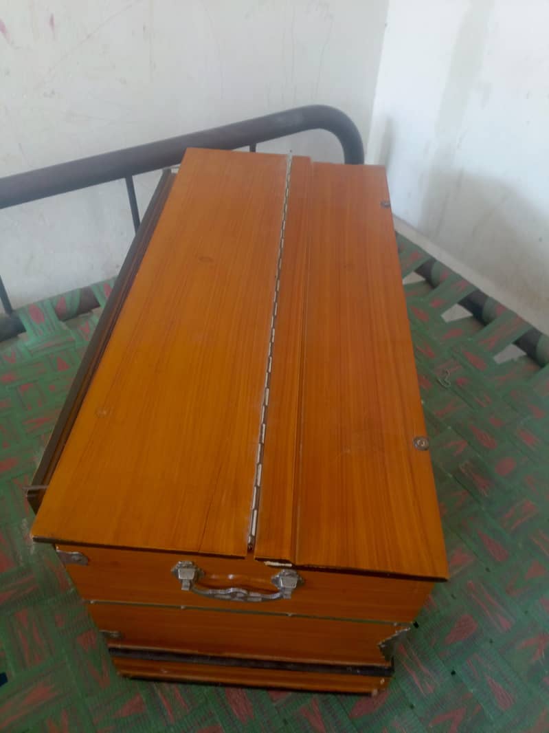 indian harmonium 2