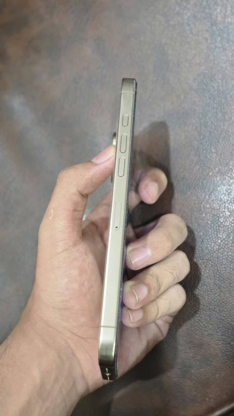 Apple iPhone 16 Pro Max 1