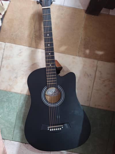 acoustic guitar