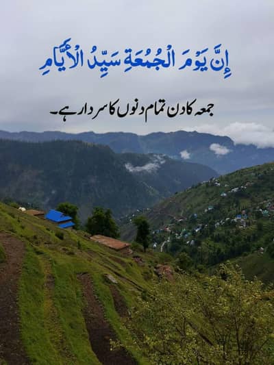Hayatabad Phase 6