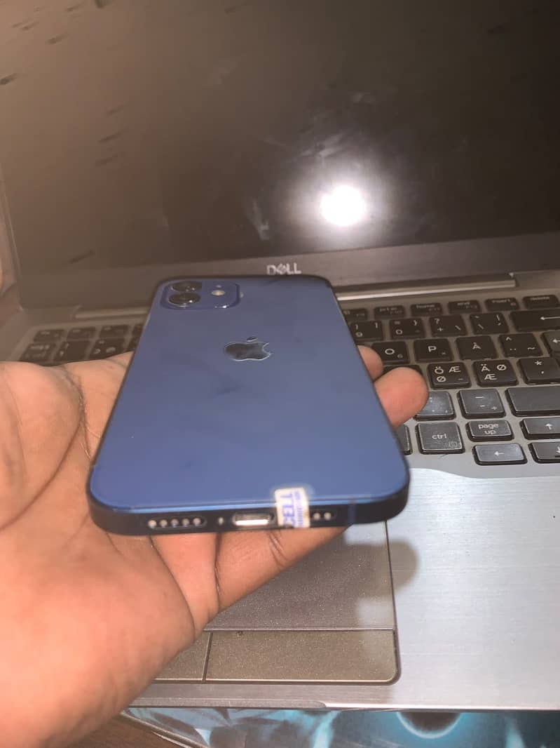 Apple iPhone 12 1
