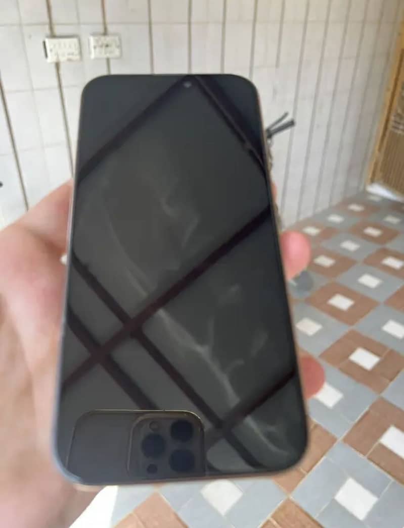 Apple iPhone 16 Pro Max 1