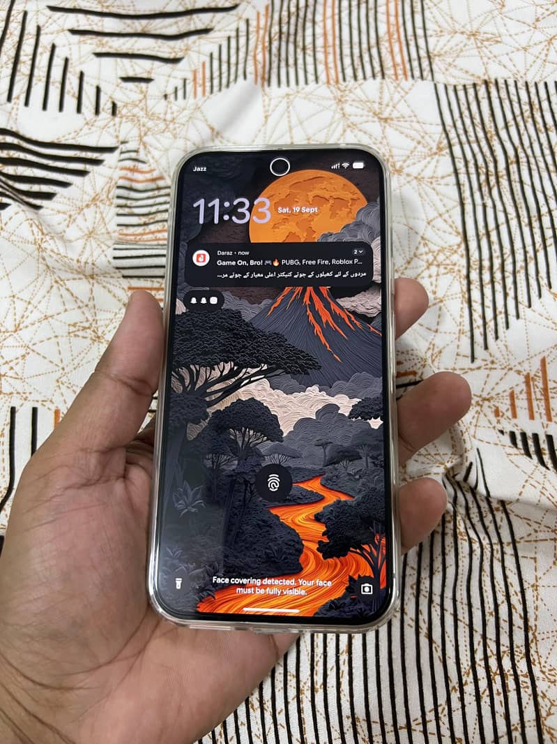 Google Pixel 9 Pro XL 1