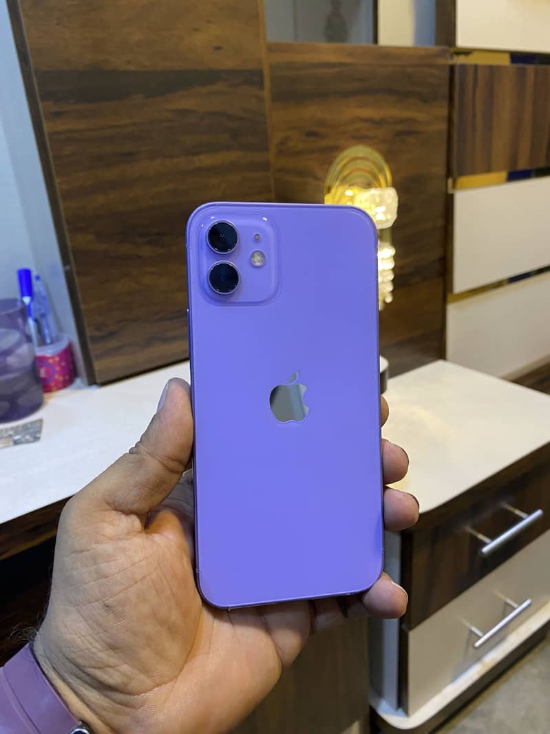 Apple iPhone 12 1