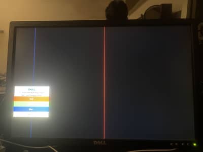Dell Moniter With 2 line