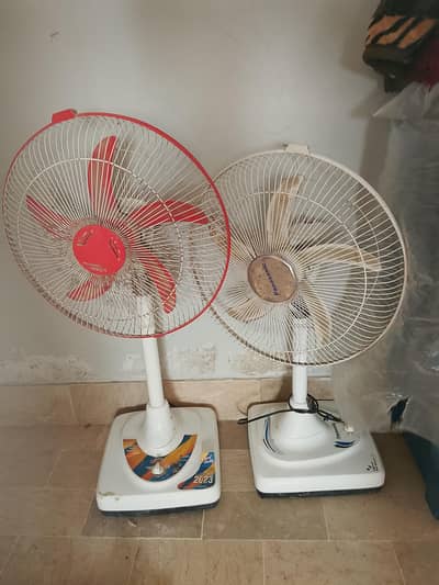 best fan for small family