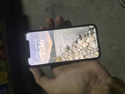 Apple iPhone X