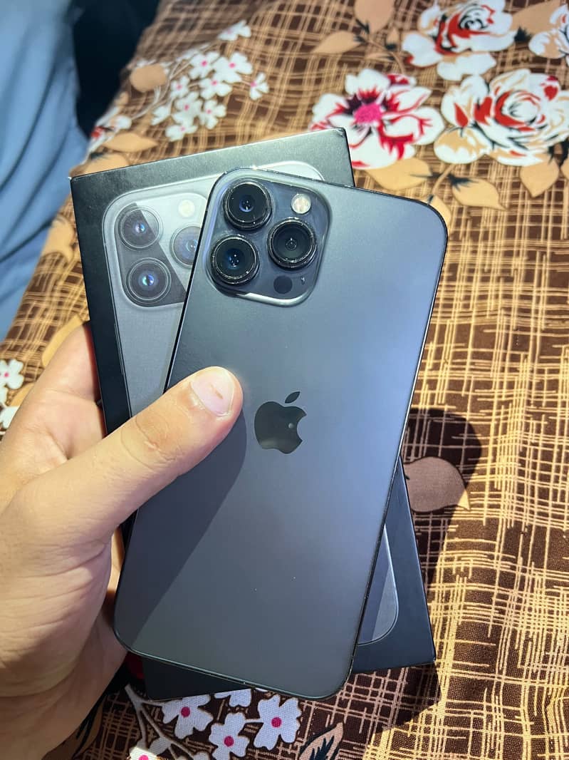 Apple iPhone 13 Pro Max 1