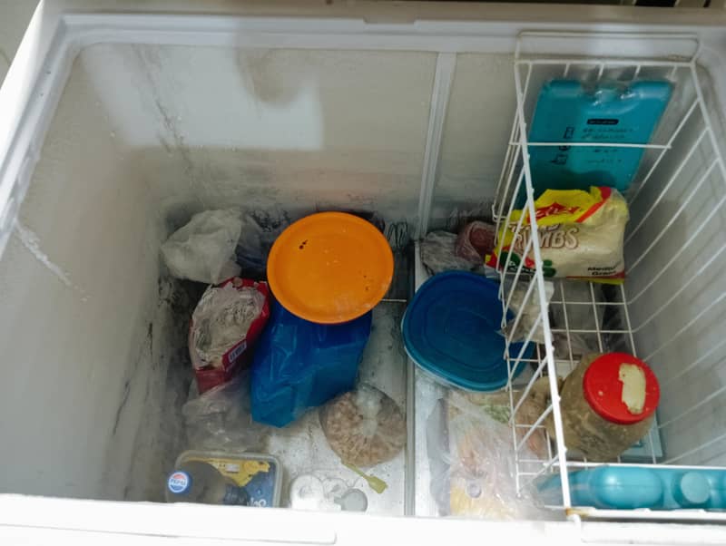 freezer 1