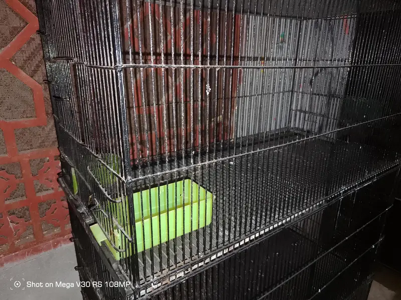 Birds cage 4 Boxes 10/10 condition All Ok Black colour Heavy iron made — photo 3
