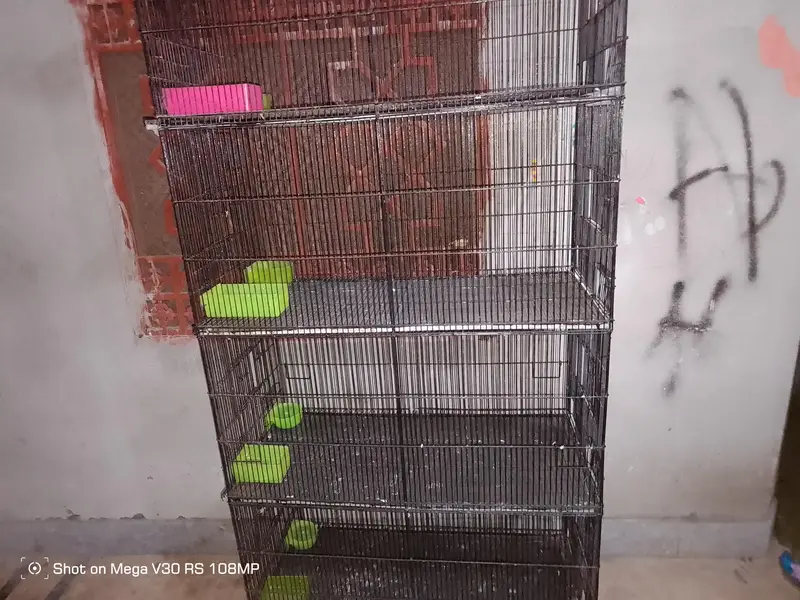 Birds cage 4 Boxes 10/10 condition All Ok Black colour Heavy iron made — photo 4