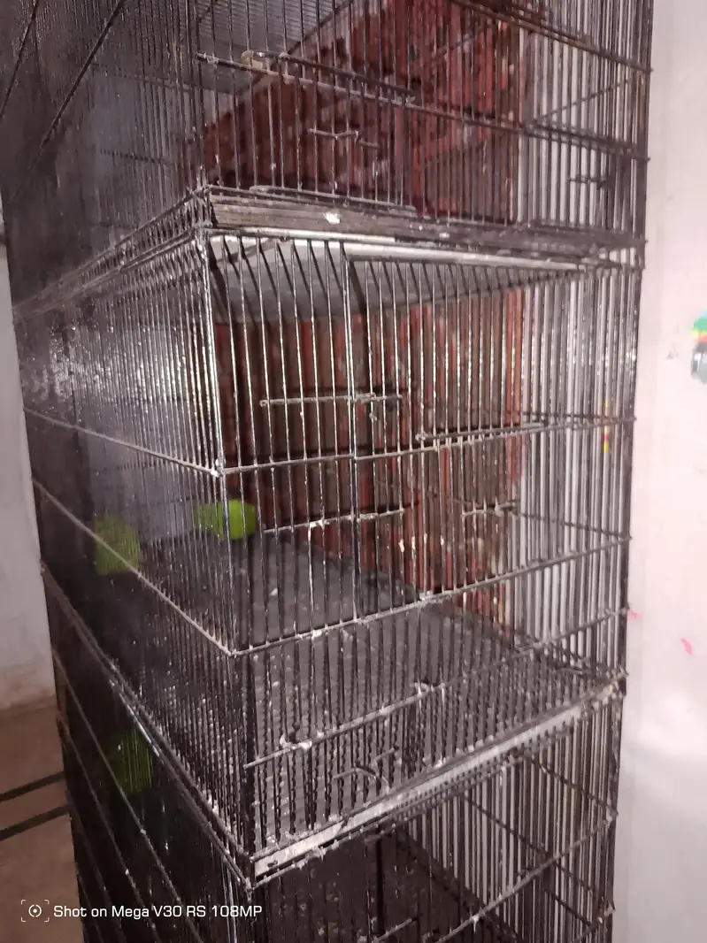 Birds cage 4 Boxes 10/10 condition All Ok Black colour Heavy iron made — photo 5