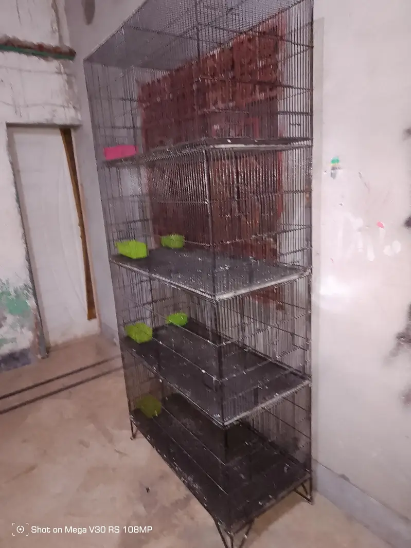 Birds cage 4 Boxes 10/10 condition All Ok Black colour Heavy iron made — photo 9