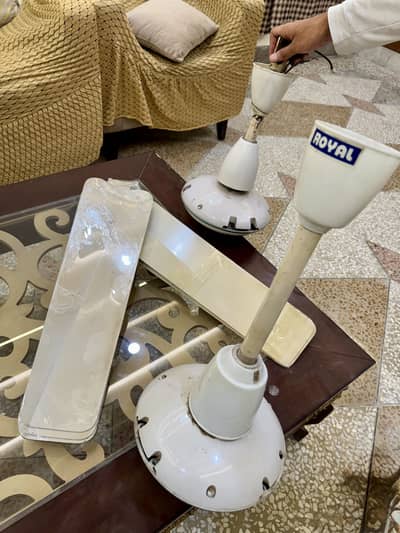 Royal Fans Ceiling Fan - Deluxe 56” | Used - Excellent Condition