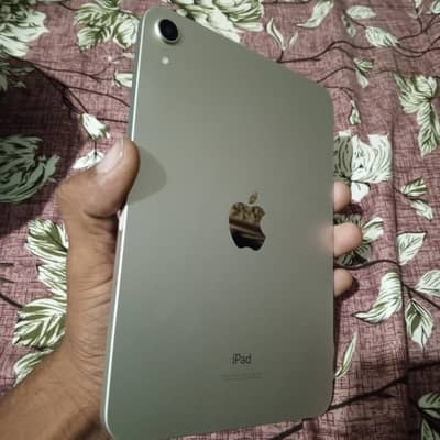 mini6
