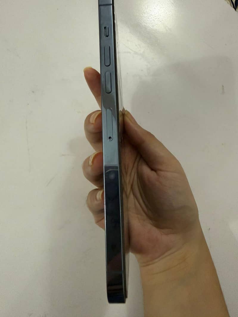 Apple iPhone 13 Pro Max 9