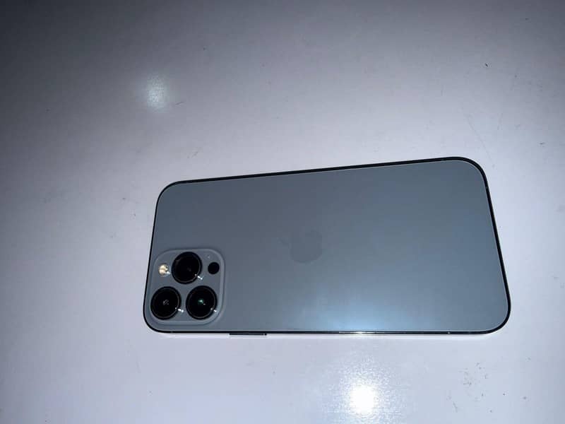 Apple iPhone 13 Pro Max 10