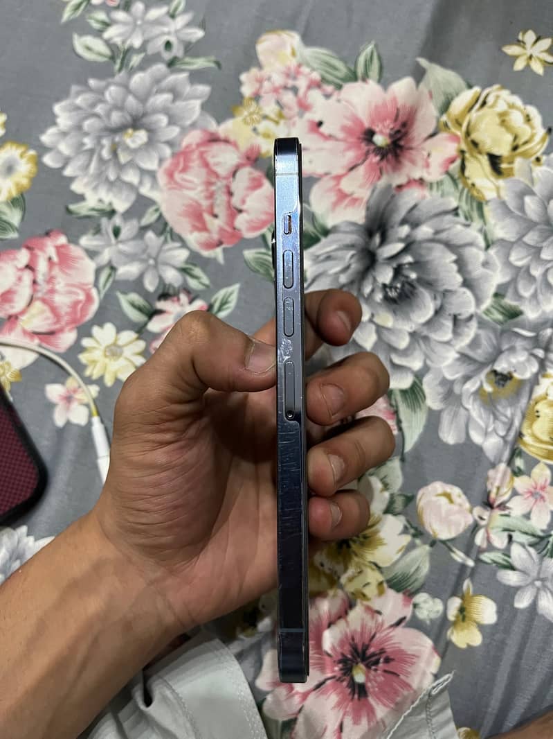 Apple iPhone 13 Pro Max 2