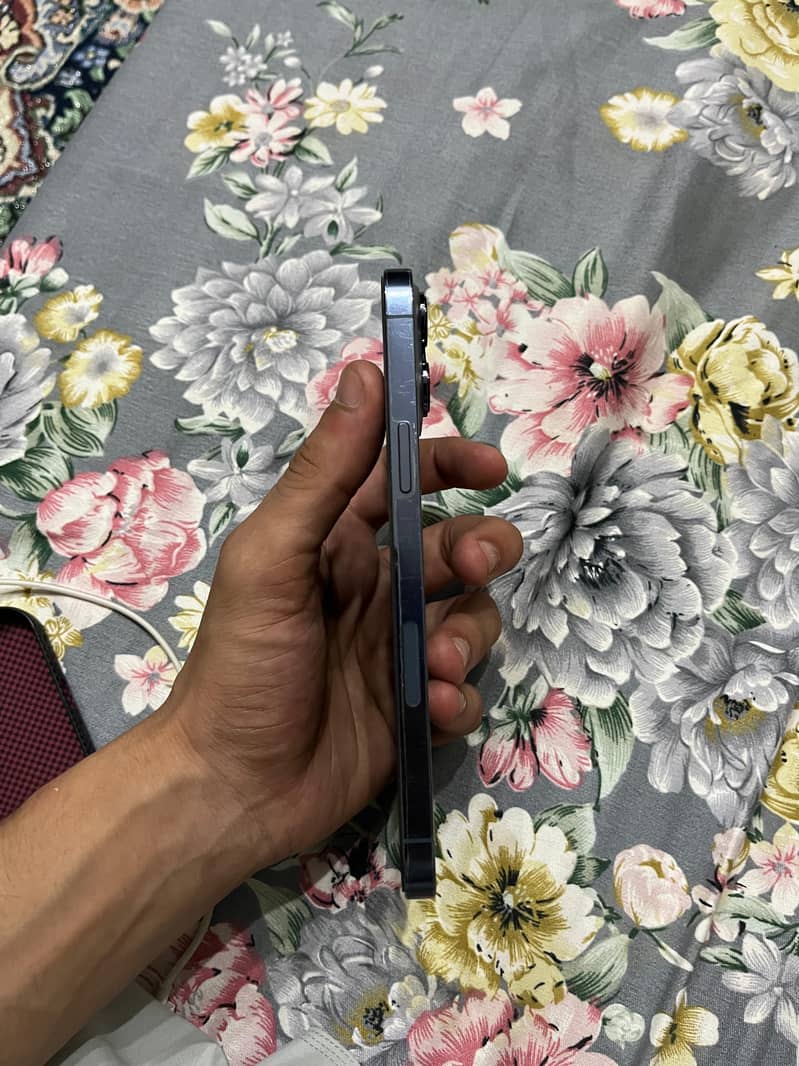 Apple iPhone 13 Pro Max 3