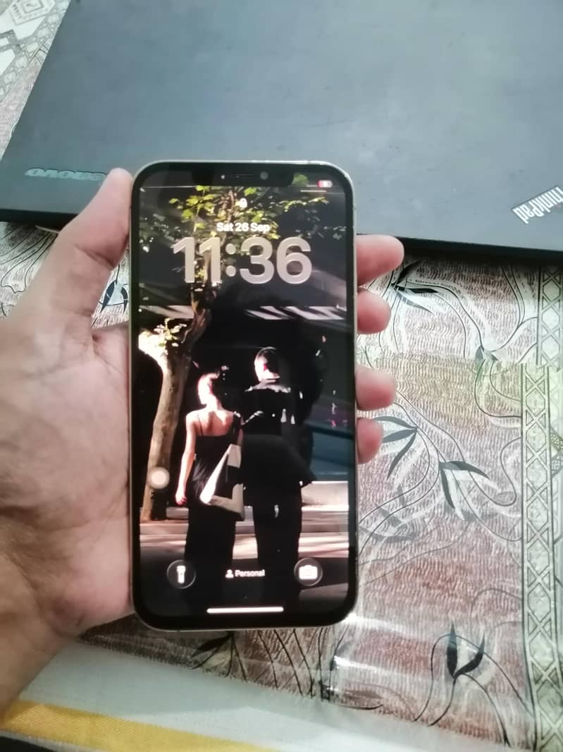 Apple iPhone 12 Pro Max 1