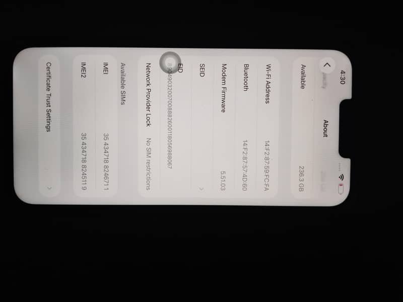 Apple iPhone 13 Pro Max 1