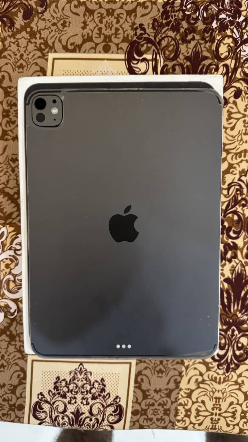 Ipad pro m5 cellular + wifi 1