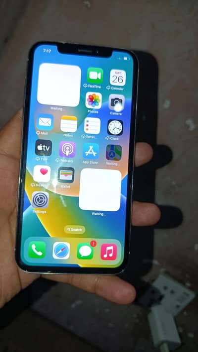 Apple iPhone X