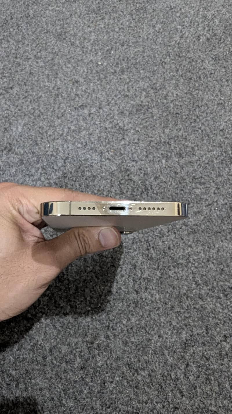 Apple iPhone 12 Pro Max 1