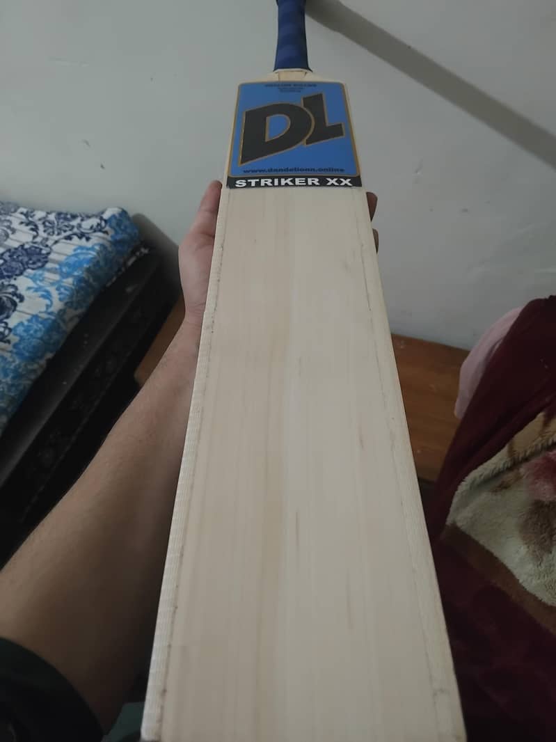 Hard Ball Bat 1