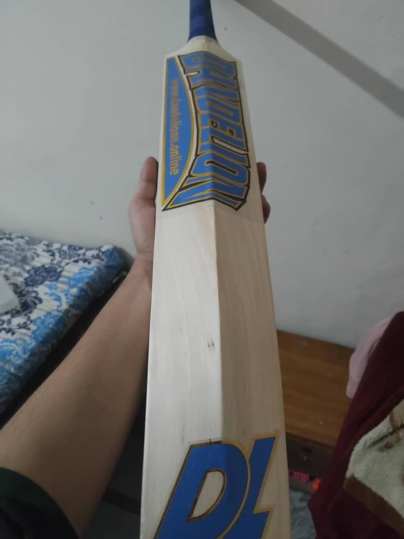 Hard Ball Bat 2