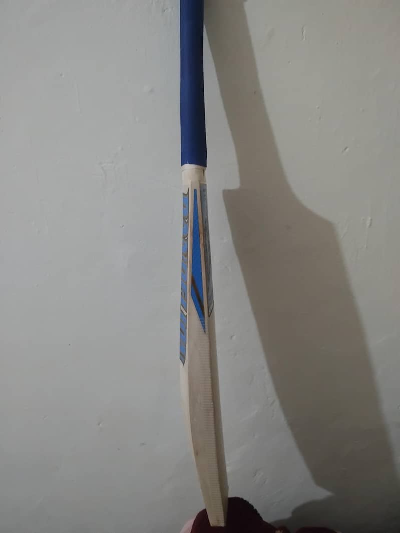 Hard Ball Bat 4