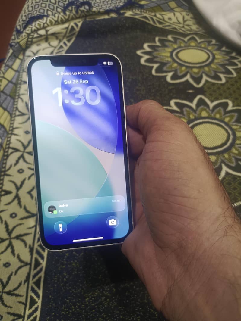 Apple iPhone 12 1