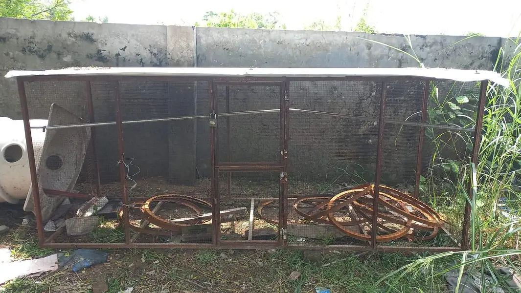 Big Cage 10L x 3L x 4H — photo 2
