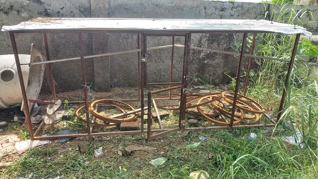 Big Cage 10L x 3L x 4H — photo 3