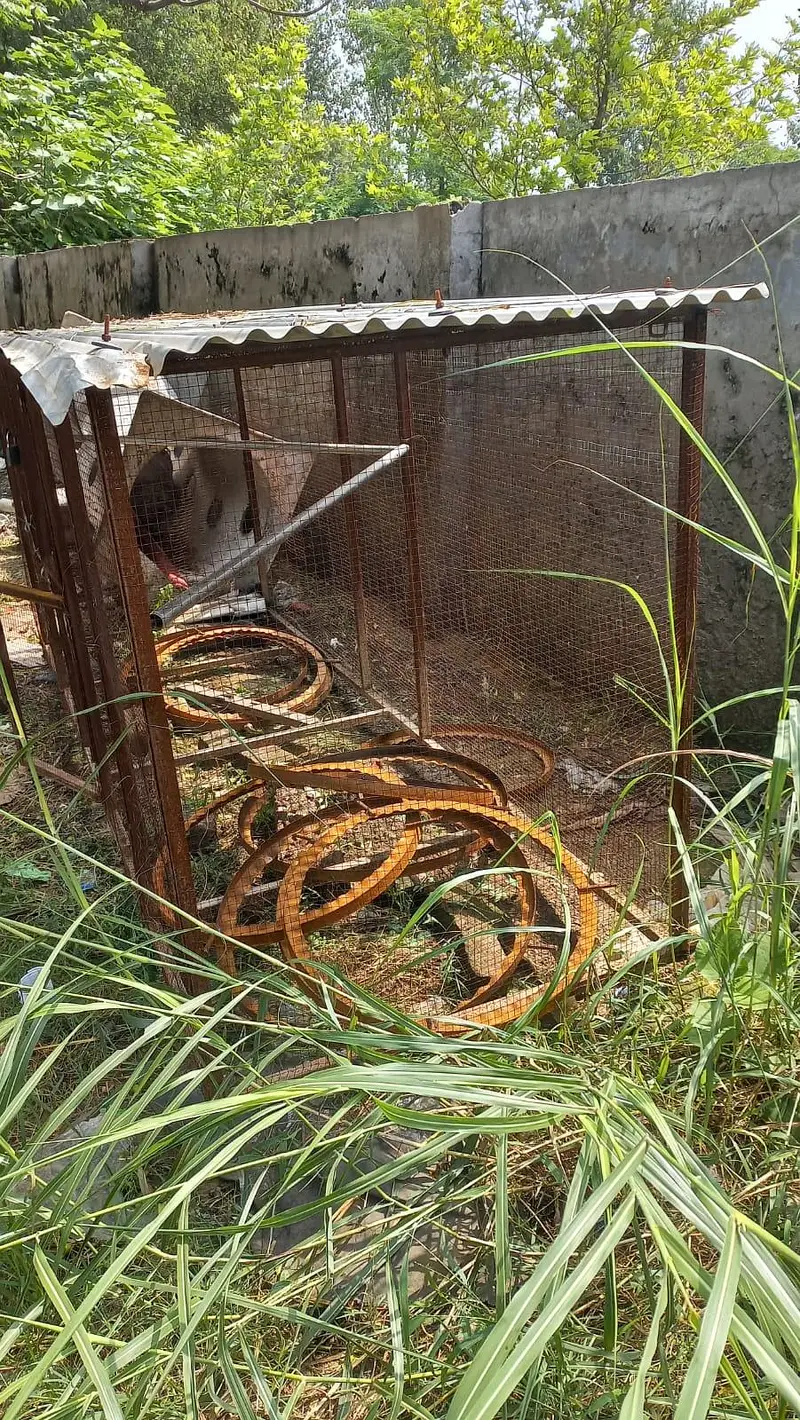 Big Cage 10L x 3L x 4H — photo 4