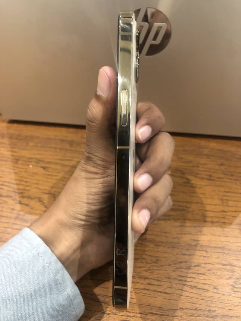 Iphone 12 pro Max 3