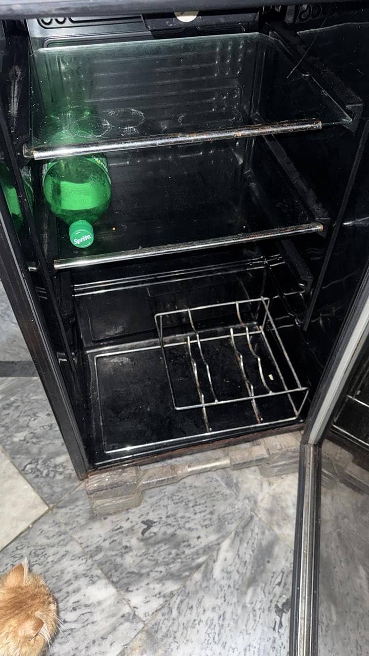Mini fridge 1