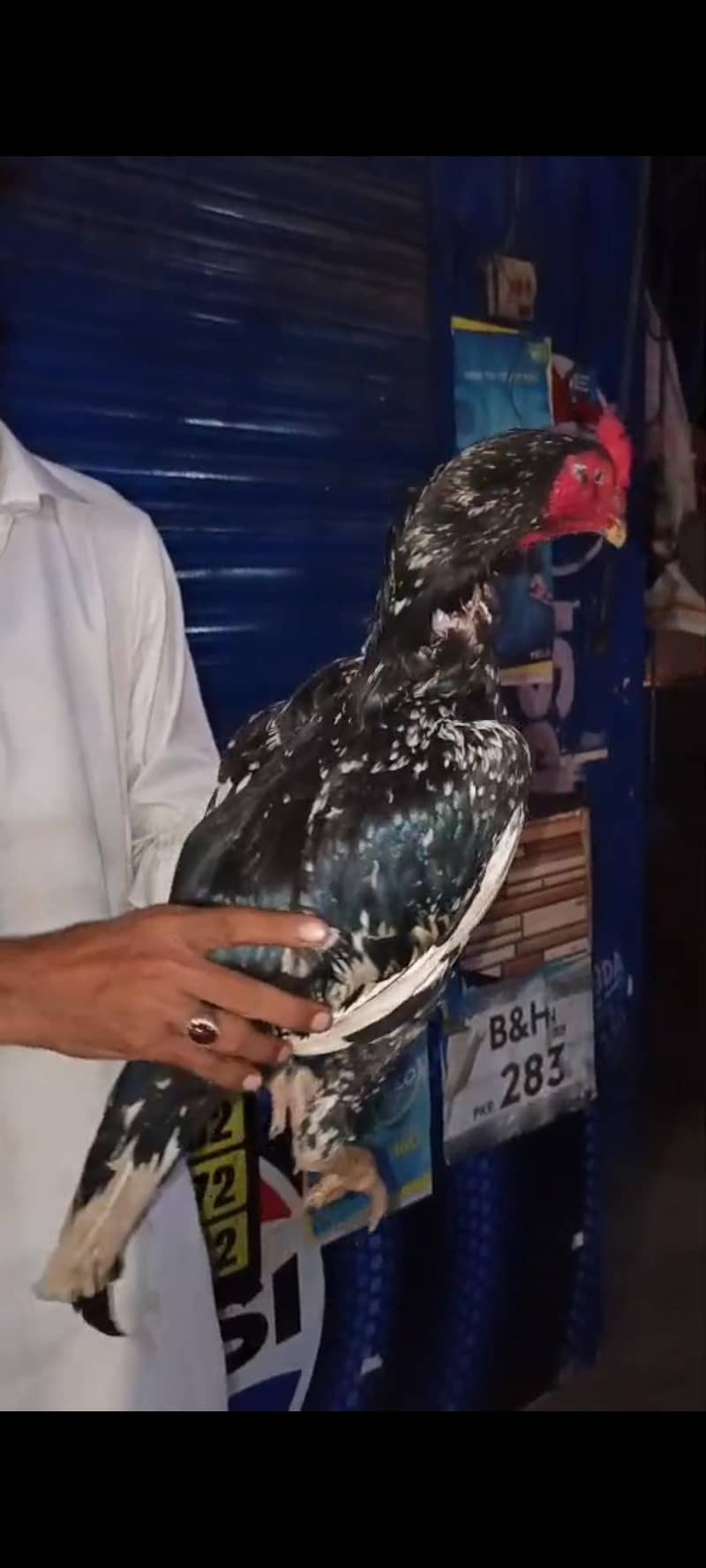Pure Pakistani patha 2