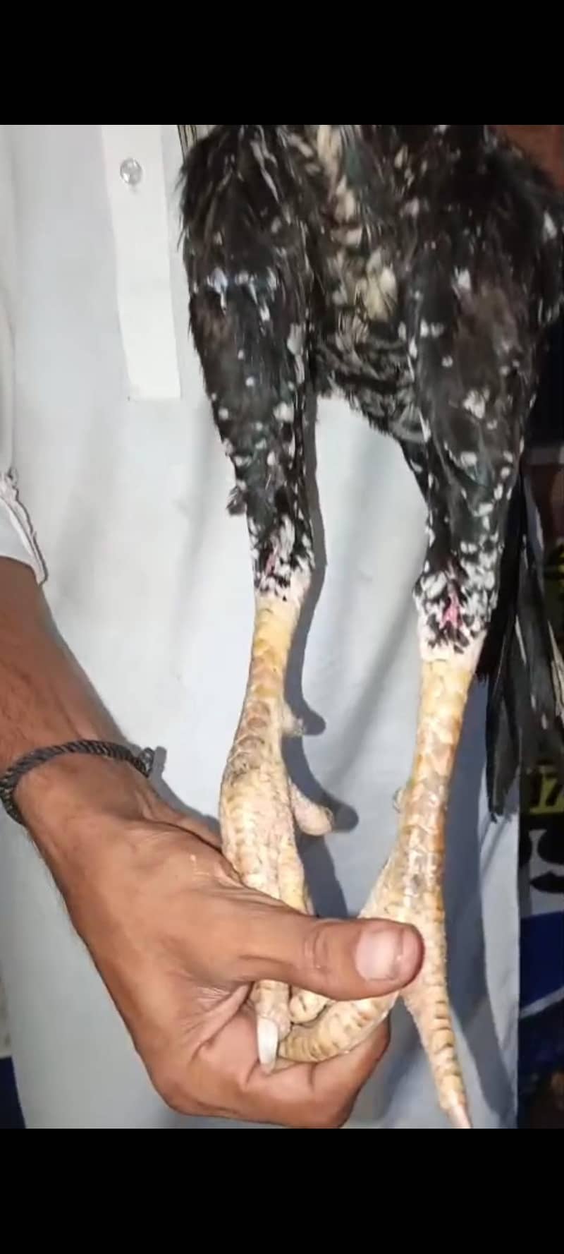 Pure Pakistani patha 4