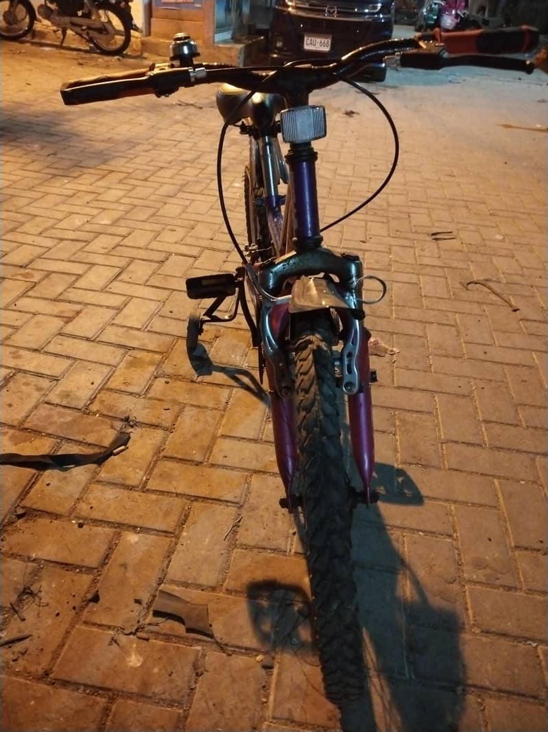 bicycle 2